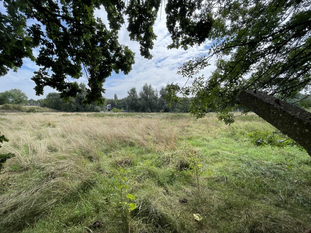 Lot: 94 - GRAZING AND WOODLAND EXTENDING TO OVER FOUR ACRES -